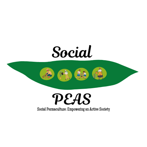 Social Permaculture: Empowering an Active Society project